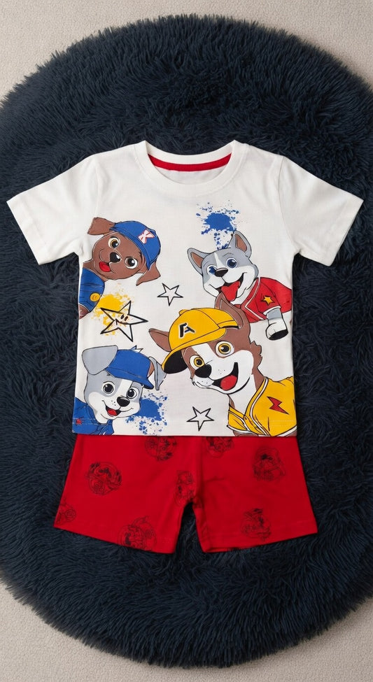 PJS26SJRS11310GKB